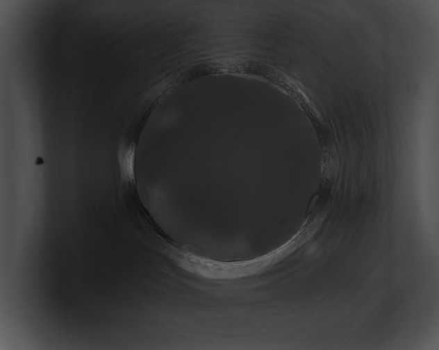 X0000100890047200806241240
