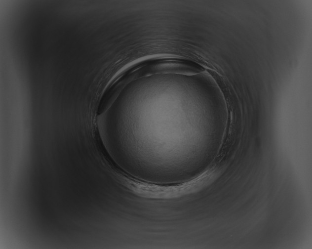 X0000100890048200806241240