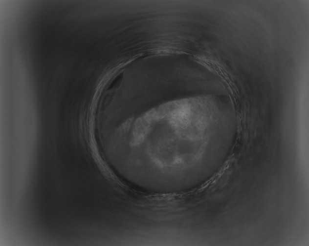 X0000100890049200806241240