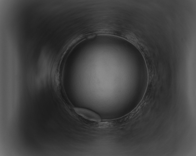 X0000100890050200806241240