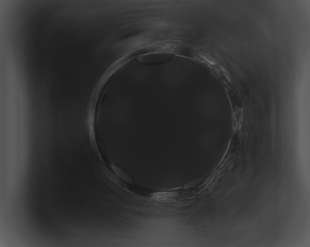 X0000100890051200806241240