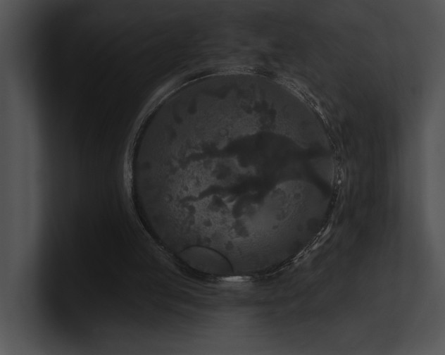 X0000100890053200806241240