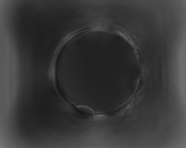 X0000100890055200806241240