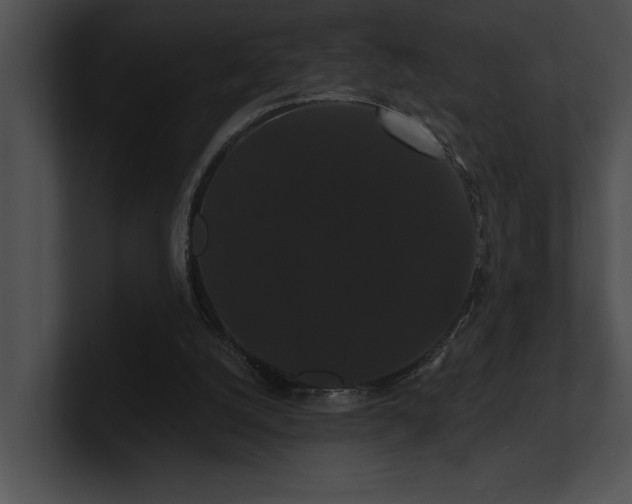 X0000100890056200806241240
