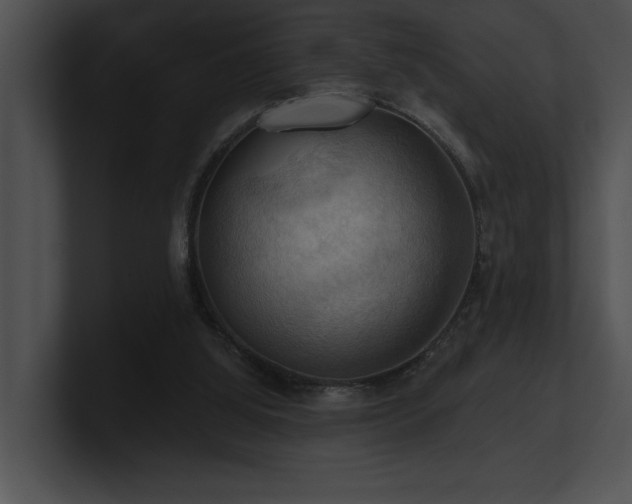X0000100890060200806241240