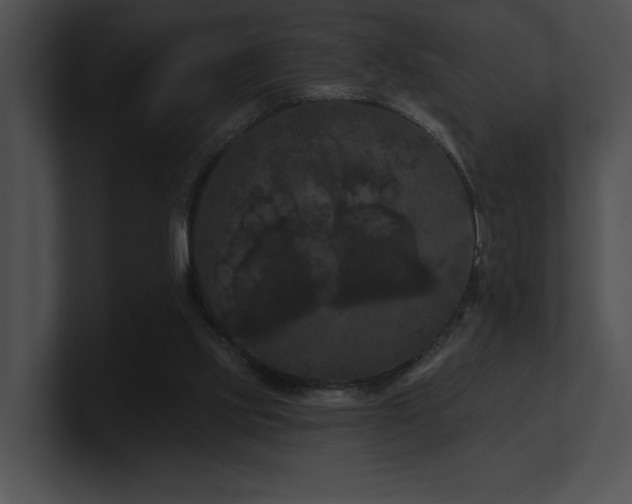 X0000100890061200806241240