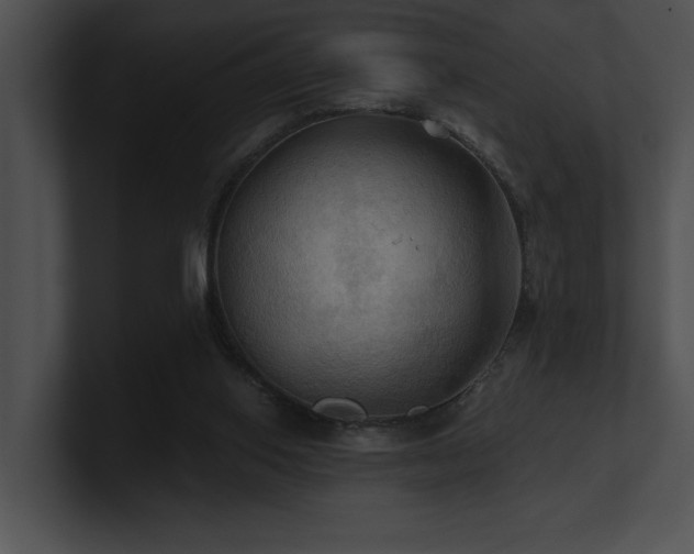 X0000100890062200806241240