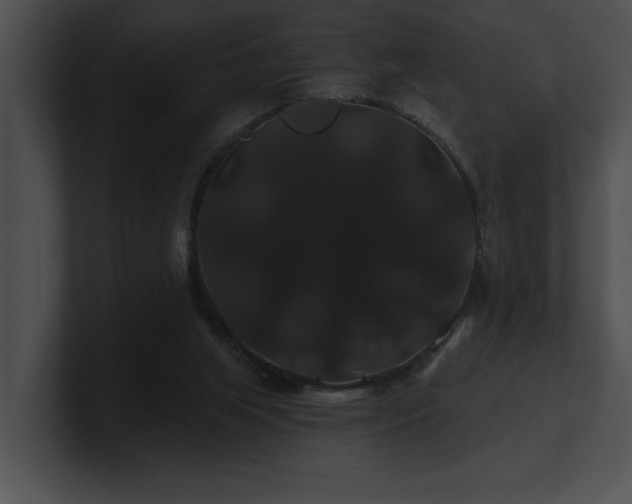 X0000100890063200806241240