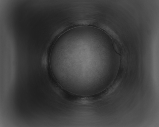 X0000100890064200806241240