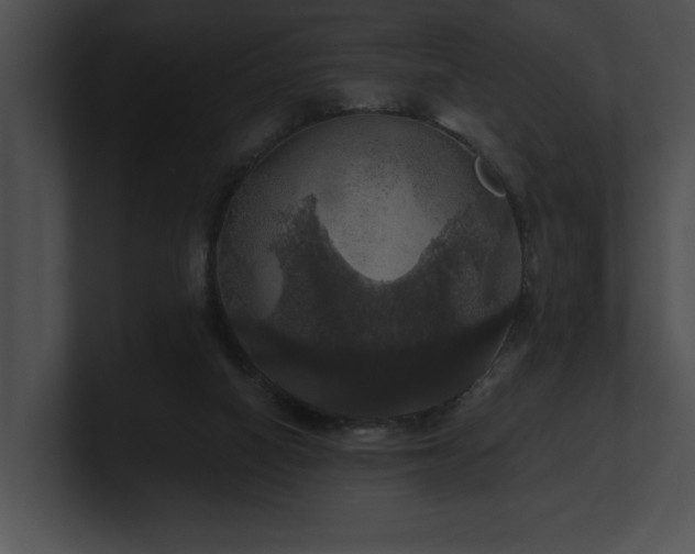 X0000100890066200806241240