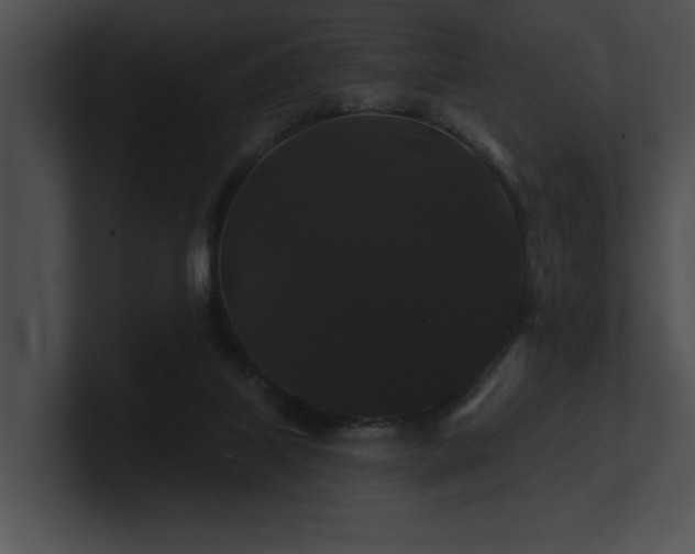 X0000100890067200806241240
