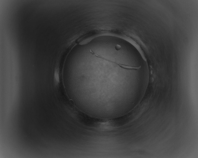 X0000100890068200806241240