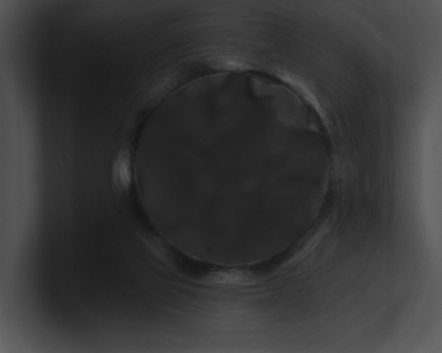 X0000100890069200806241240