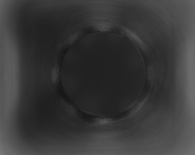 X0000100890073200806241240