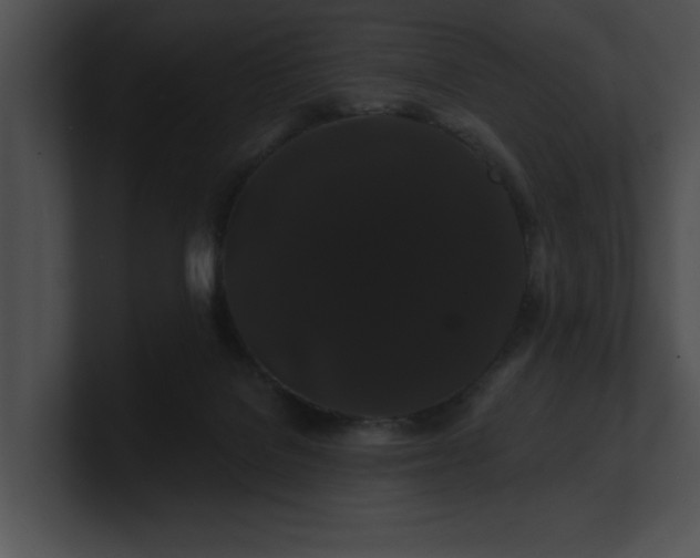 X0000100890076200806241240