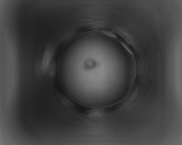 X0000100890077200806241240