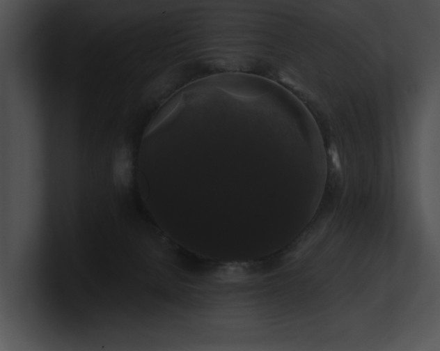 X0000100890080200806241240