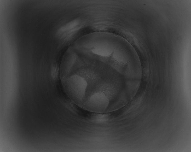 X0000100890081200806241240
