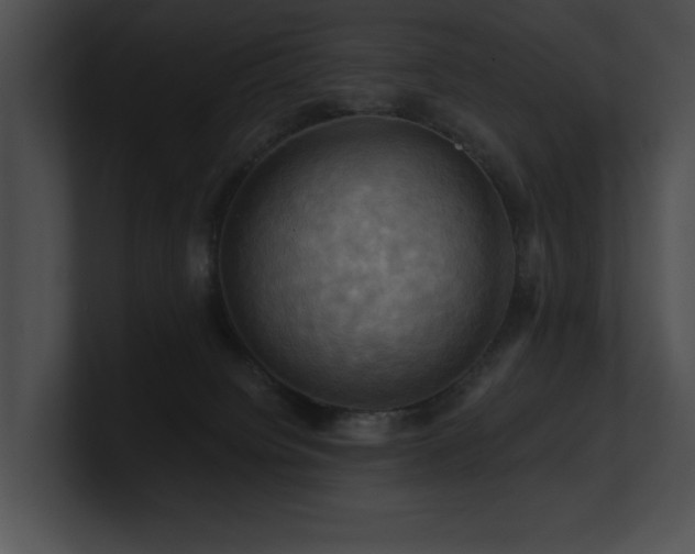 X0000100890084200806241240