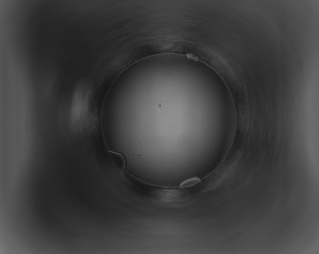 X0000100890085200806241240