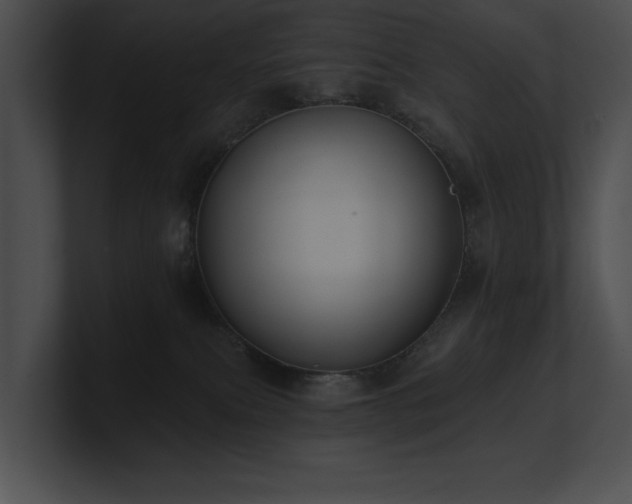 X0000100890087200806241240