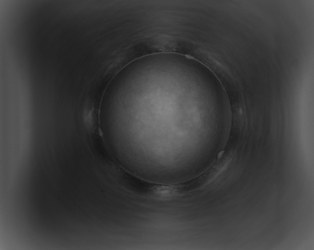 X0000100890088200806241240