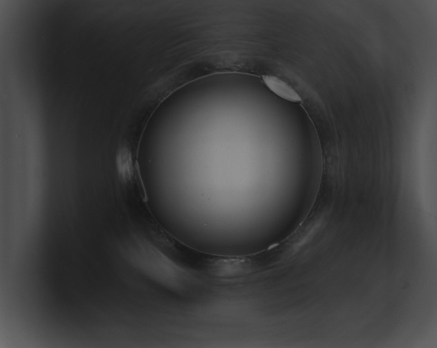X0000100890089200806241240