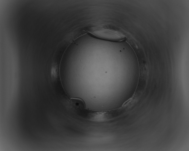 X0000100890090200806241240