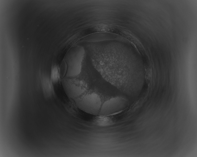 X0000100890095200806241240