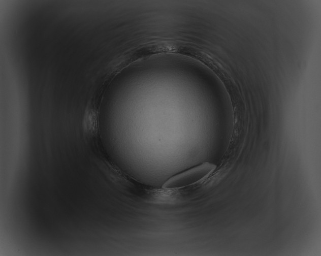 X0000100890096200806241240