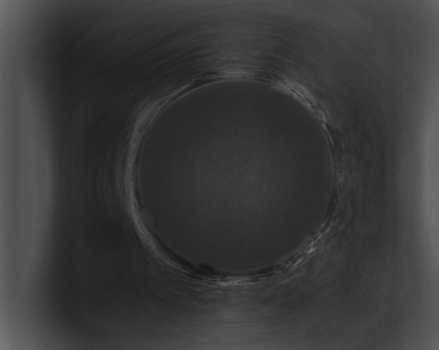 X0000100890097200806241240