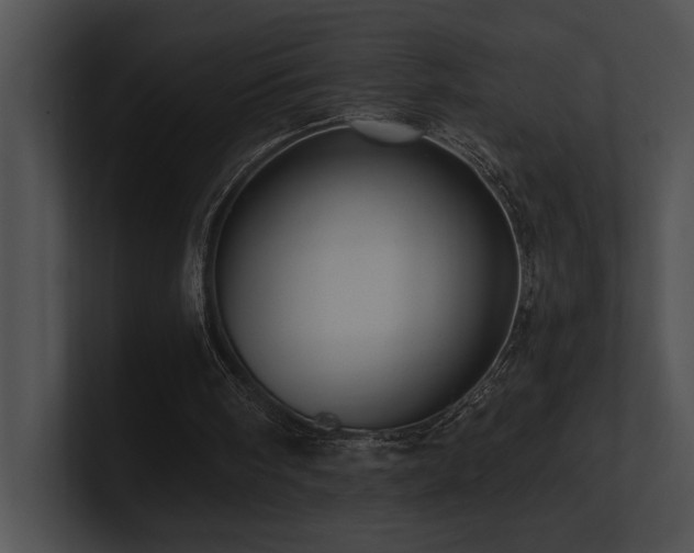 X0000100890098200806241240