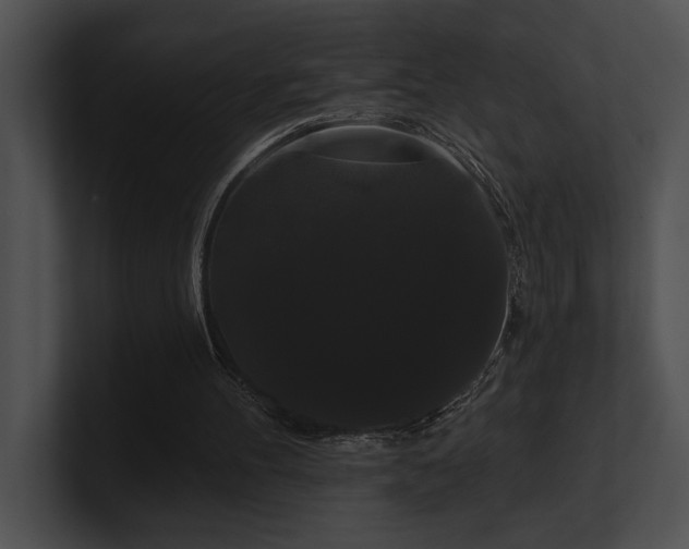 X0000100890100200806241240
