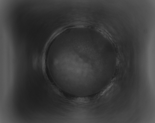 X0000100890101200806241240