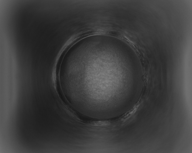 X0000100890102200806241240