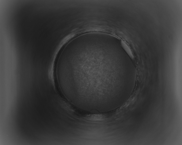X0000100890104200806241240
