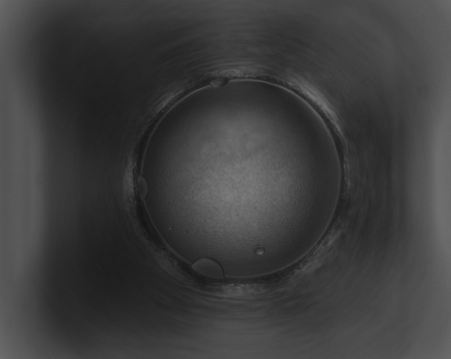 X0000100890105200806241240
