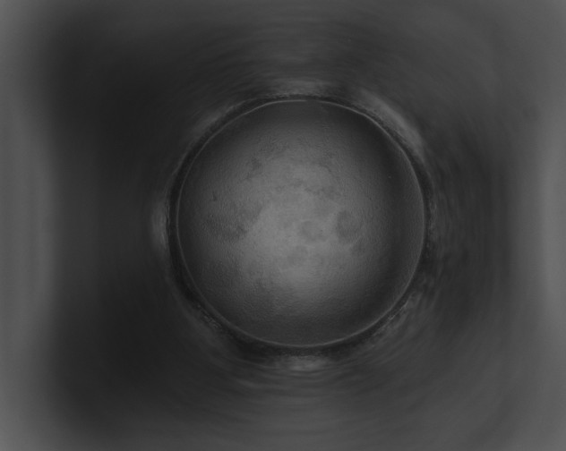 X0000100890107200806241239