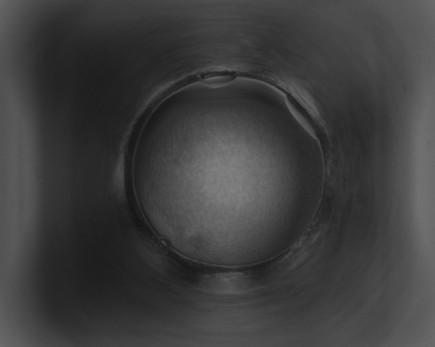 X0000100890108200806241239