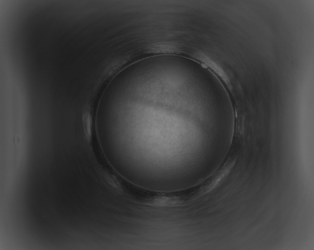X0000100890109200806241239
