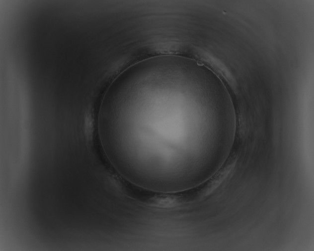 X0000100890113200806241239