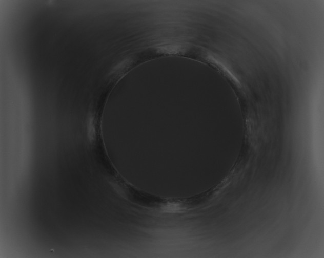 X0000100890114200806241239