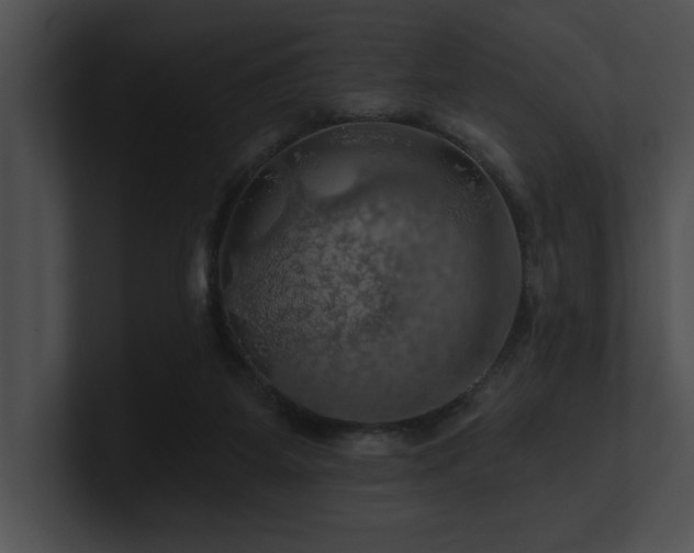 X0000100890115200806241239