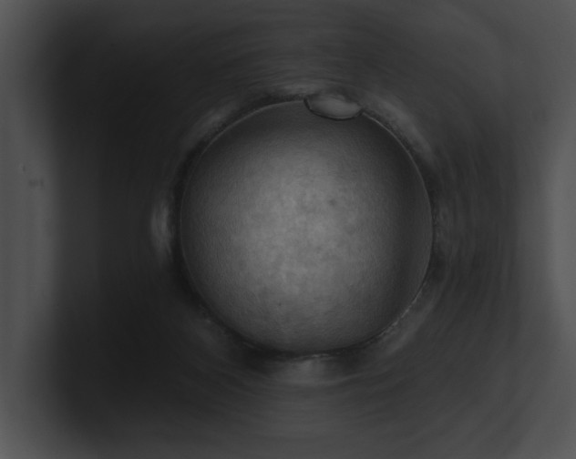 X0000100890116200806241239