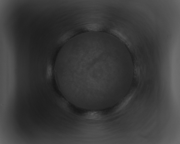 X0000100890117200806241239