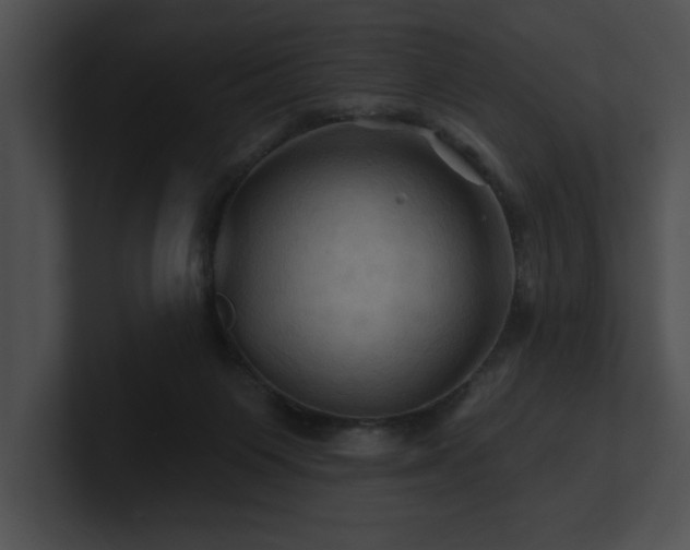 X0000100890119200806241239