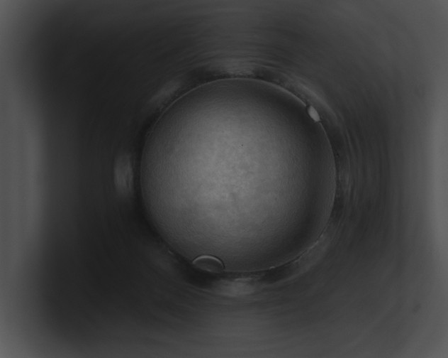 X0000100890120200806241239