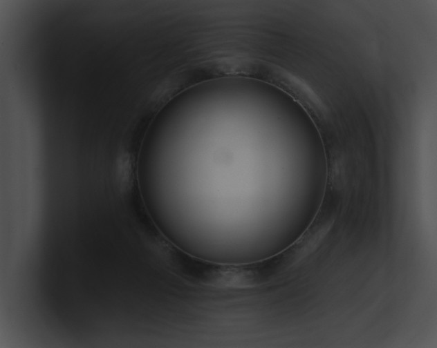 X0000100890121200806241239
