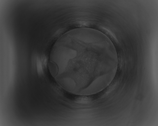 X0000100890123200806241239