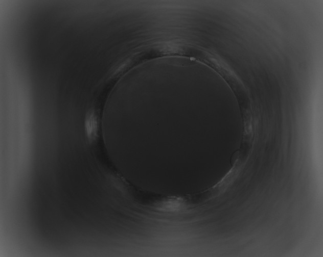 X0000100890124200806241239